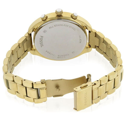 Fossil Watch For Women CH2976